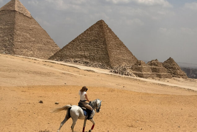 Egypt 23-28 FEBRUARY