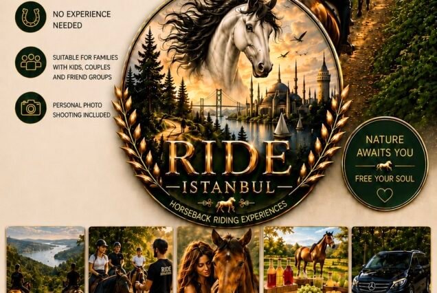 İstanbul all included daily horse riding tour (no experience needed & all levels)